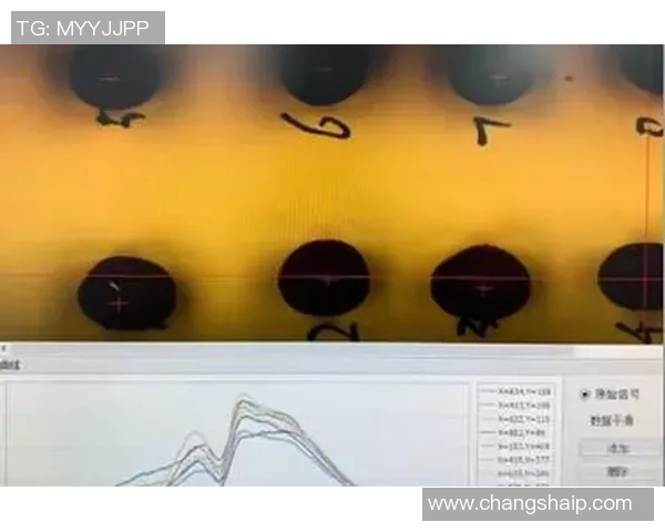 欧陆平台追踪体系的创新与发展探讨及其应用前景分析