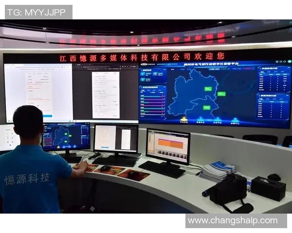 探索红桃国际DAO治理机制的创新与实践路径分析