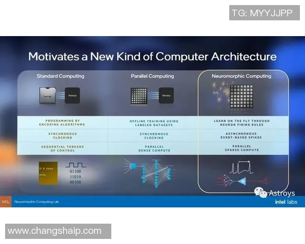 新宝GG神经形态芯片原型设计及其在类脑计算中的应用研究